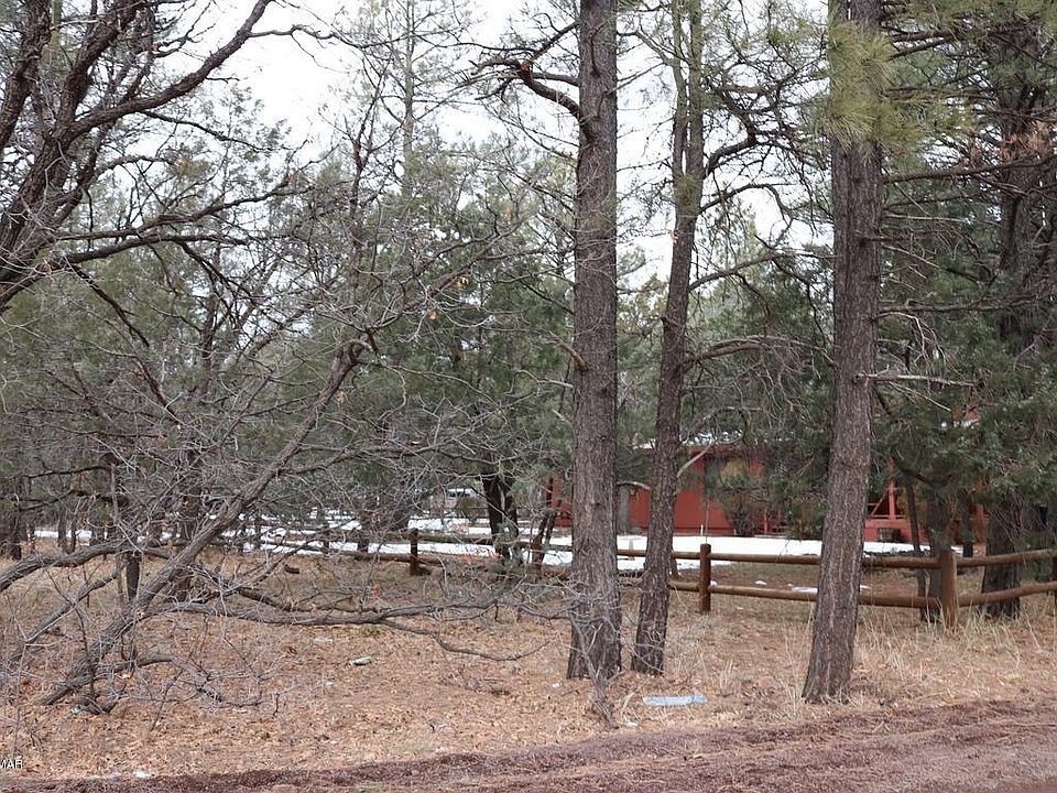 2nd image of 2664 Hidden Pines Dr