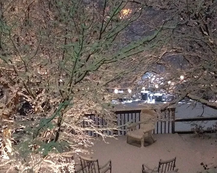 Back Yard winter time.