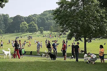 Rented by Lang Realty LLC