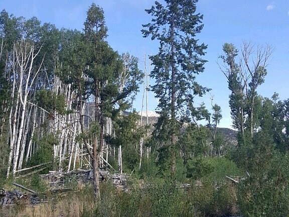 5th image of 231 & 233 California Circle