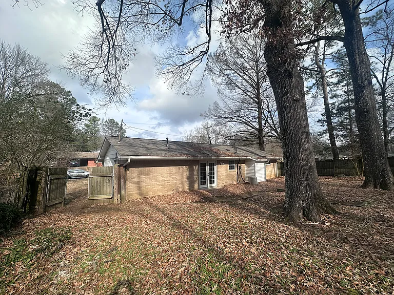 Back yard