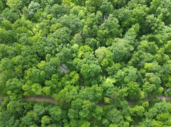 1537B High Rock Rd, Stanton, KY 40380