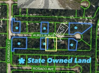 3334 Aurelia Ave, Lake Placid, FL 33852