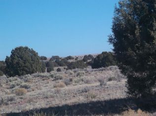 LOT 116 Lot 116 River Meadows Rnch, Concho, AZ 85924