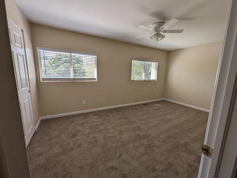 880 Macaw St — Photo 10