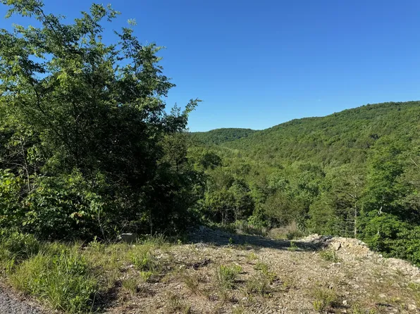 236 Timber Wolf Rd Lot 9, Hollister, MO 65672