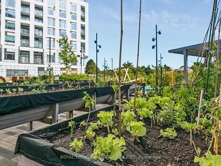 2495 Eglinton Ave W #908 — Photo 36
