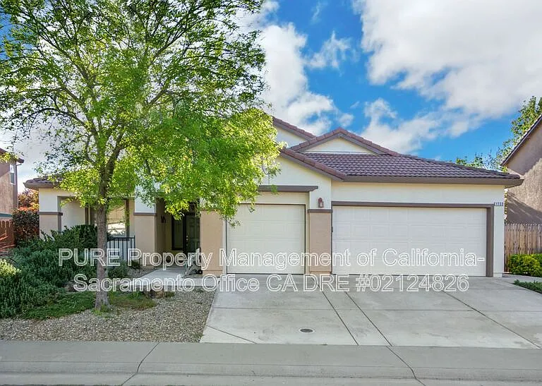 1732 Bamboo St — Photo 35