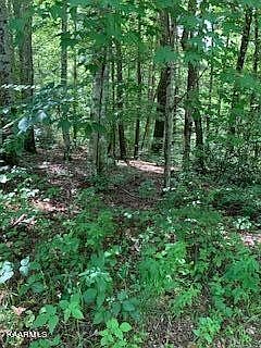 4th image of 0 Hickory Hollow Rd Lot 135-6