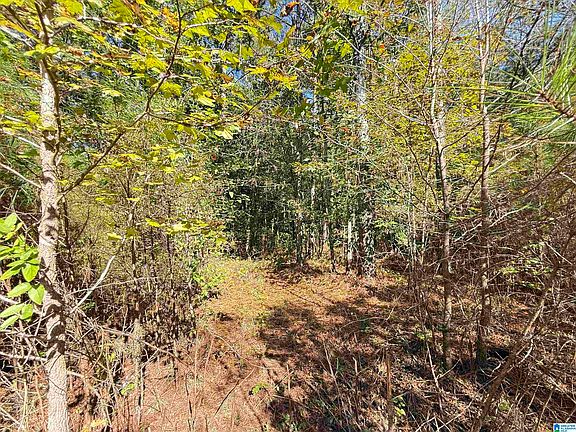 3rd image of 40 Turkey Trail Rd #47