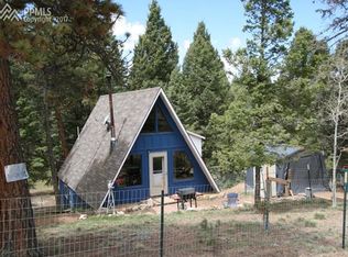 123 Animas Cir, Florissant, CO 80816