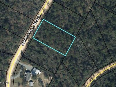 0 Monogahela Ave, Alford, FL, 32420