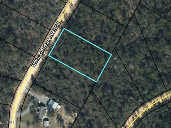 0 Monogahela Ave, Alford, FL 32420