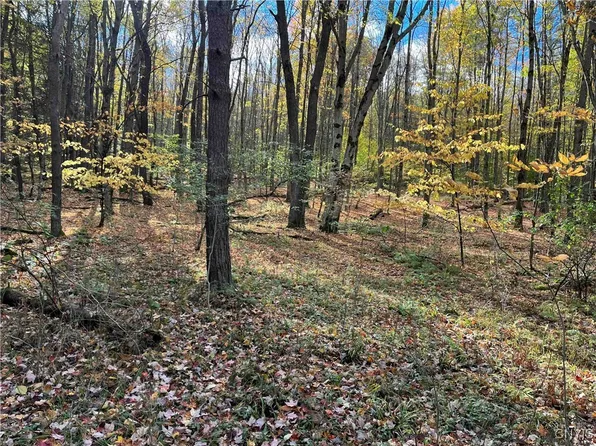 0 Wolf Creek Rd, Cuba, NY 14727
