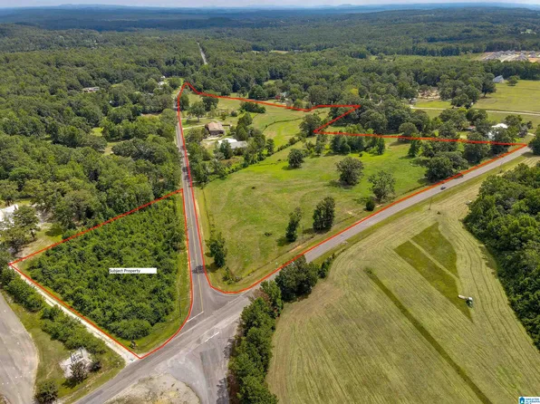 0 County Road 44 #1, Jemison, AL 35085