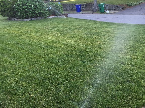 Front Lawn with irrigation