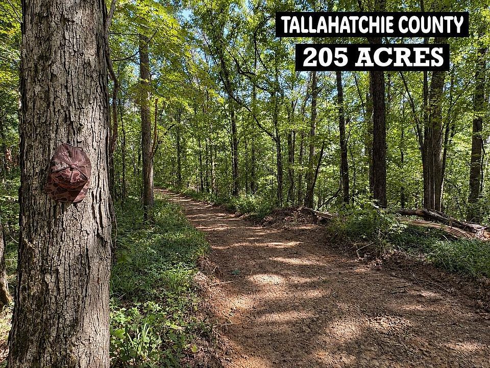 1st image of 173 Cascilla Rd