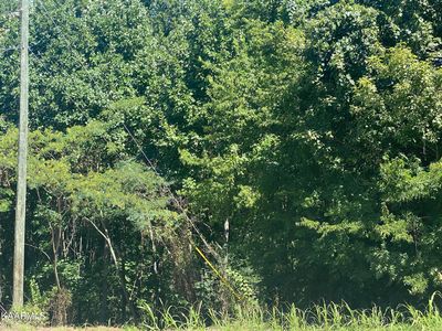Big Springs Rd #10, Maryville, TN, 37801