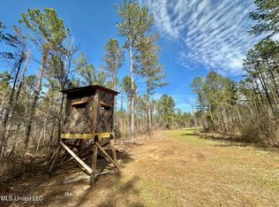 1 Prentiss Crump Rd, Terry, MS 39170