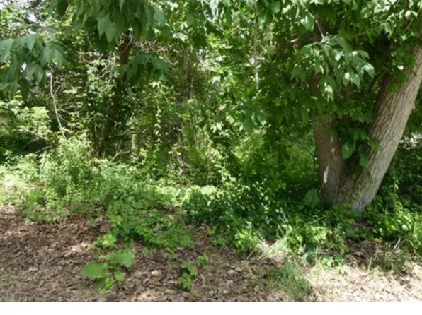 0 Johnson Dr #|-lot 4, Lake Orion, MI 48362