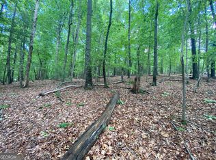 LOT 5 Mount Pleasant Rdg, Blairsville, GA 30512
