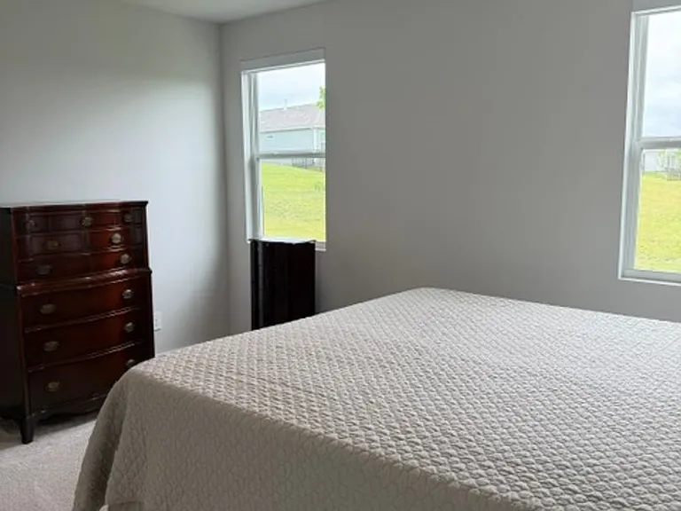 1037 Royal Gorge Ct — Photo 19