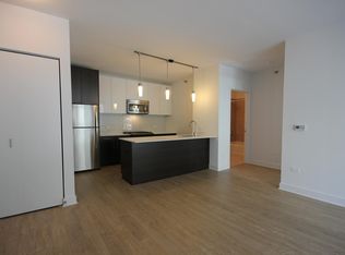 203 N Garland Ct #1B, Chicago, IL 60601