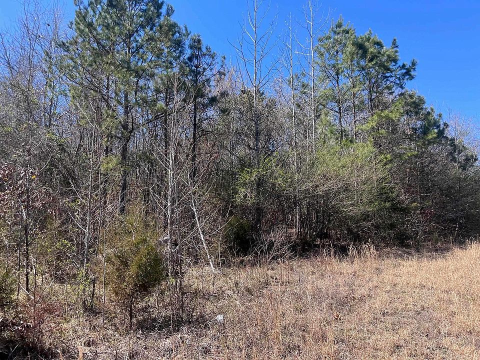 2nd image of Blossom Rd
