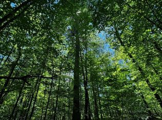 W Bluebird Rd, Lake Tomahawk, WI 54539