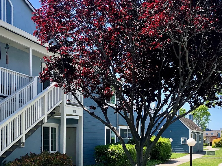Mariner Village — Photo 6