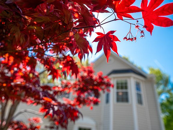 3rd image of 5319 Corinthian Way