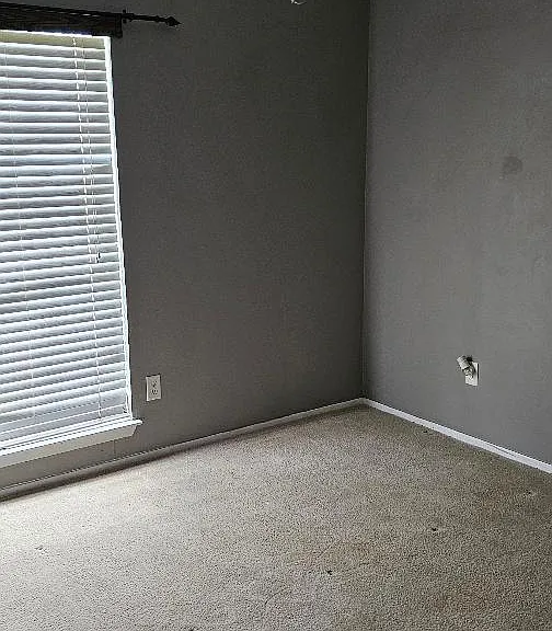 1612 Colony St — Photo 11