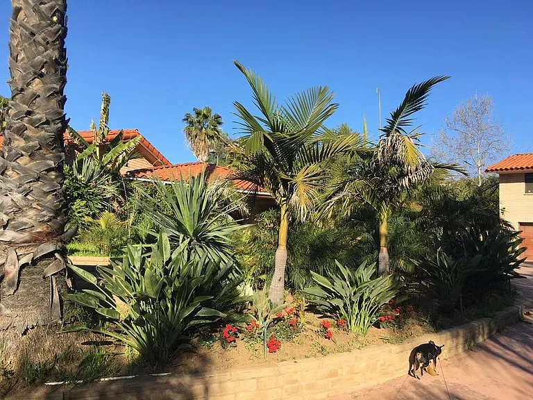 tropical landscaping with guesthouse on right
