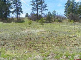 215 Echo Dr, Pagosa Springs, CO 81147