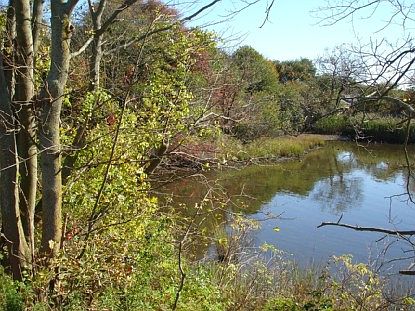 2nd image of 471 Montauk Hwy