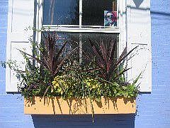 window box