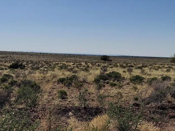 6232 S Prairie Grass Ln #294, Williams, AZ 86046