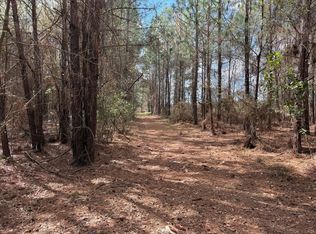 12.19 Acres Off, Blackshear, GA 31516