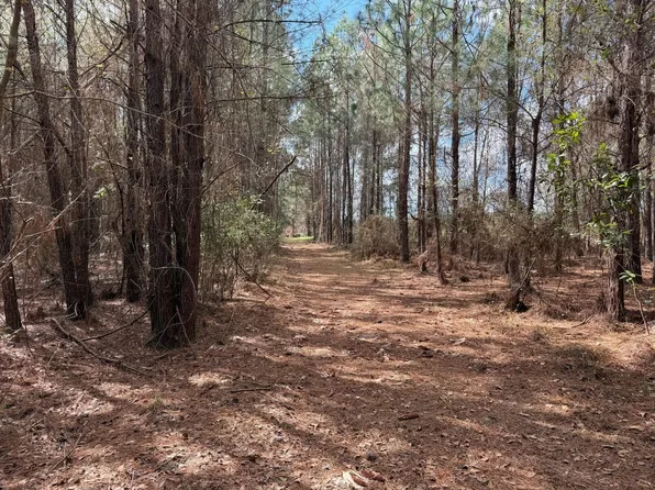 12.19 Acres Off, Blackshear, GA 31516