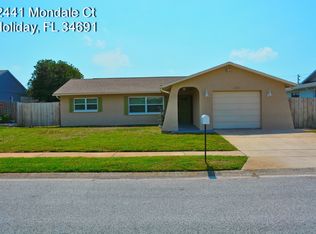 2441 Mondale Ct, Holiday, FL 34691