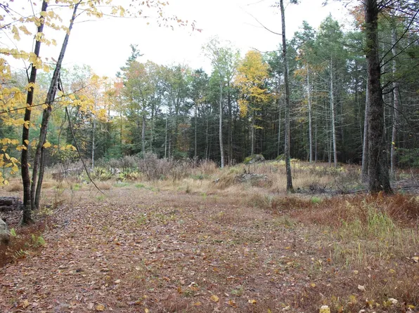 TBD Bear Hill, Stone Ridge, NY 12484