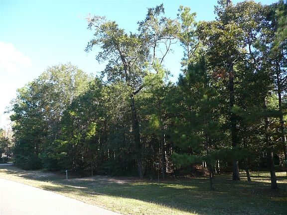 View looking from the front right side of the lot.