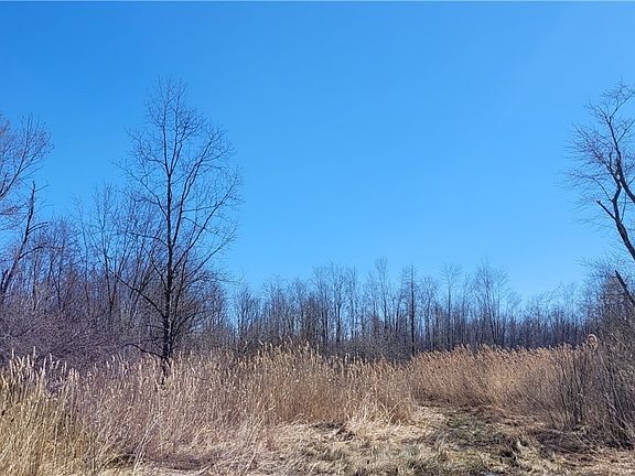 3rd image of Clay Rd