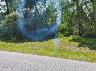 SW 163rd Place Rd, Ocala, FL 34473