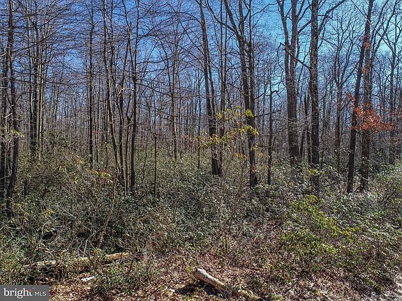 5th image of 59 Birchwood Dr