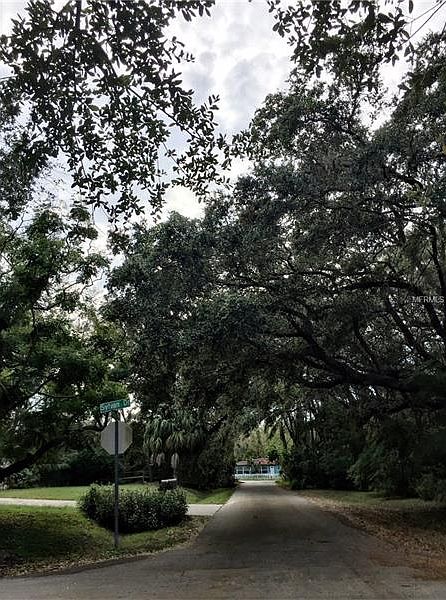 1st image of Pineland Dr