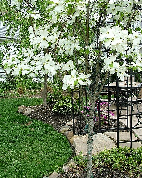 Patio retreat