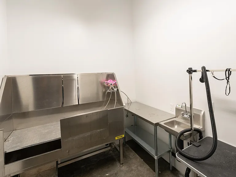 Pet Washroom