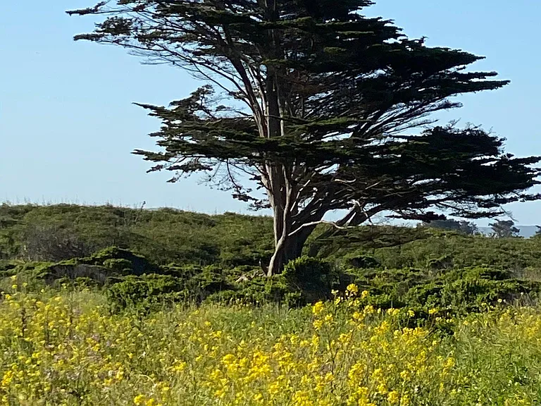 Coastal bike trail