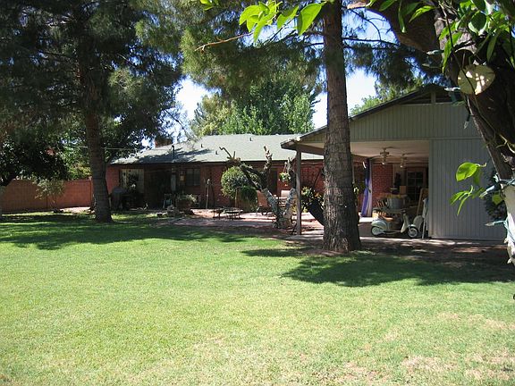 Backyard, Patio and Deck
